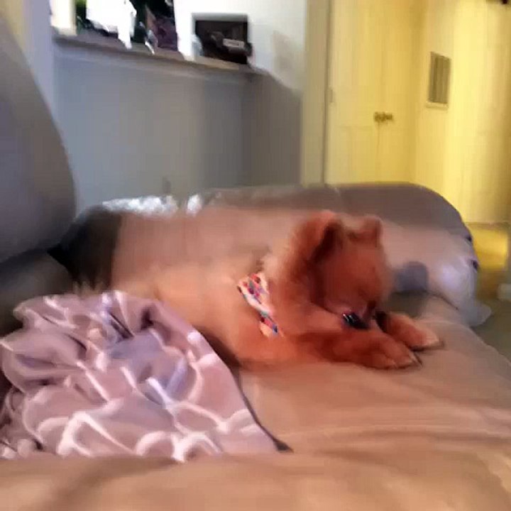 A funny Vine