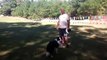Basic long distance disc throwing to your dog
