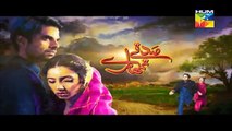Sadqay Tumhare Episode 27 Promo HUM TV Drama