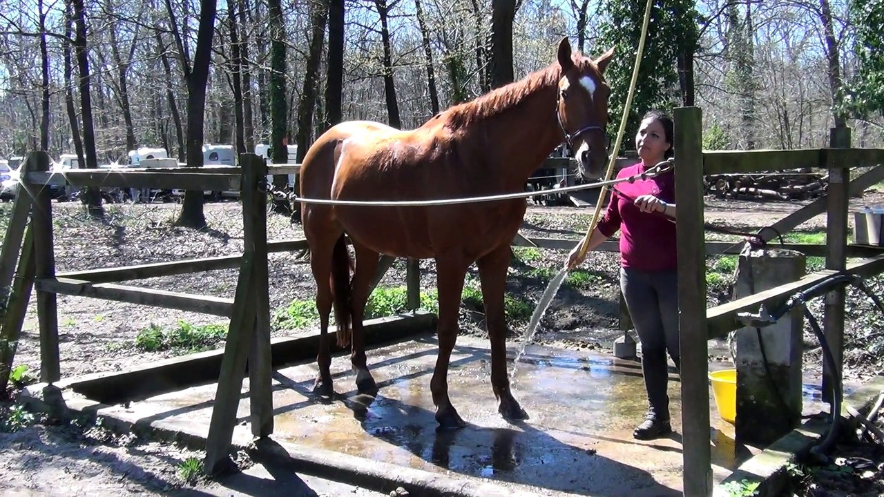 CCE Taillan 05/04/2015