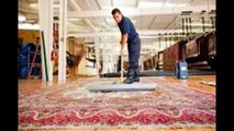 Exploring Fast Plans In Cleaning Carpets in Sydney