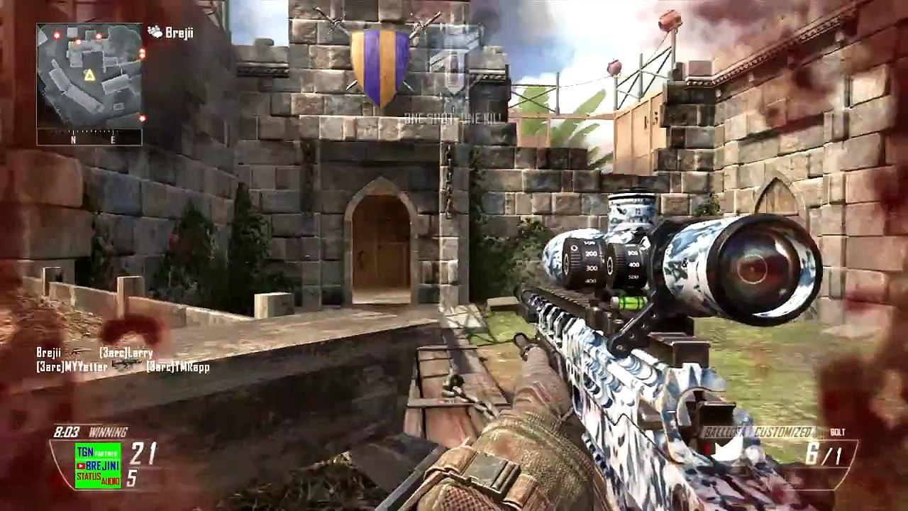 WTFudge - Bo2 - Road to an FFA Bot Shot