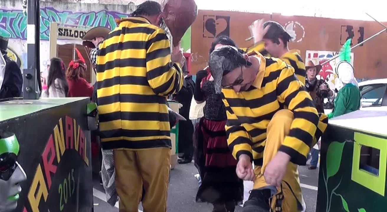carnaval 2015DB