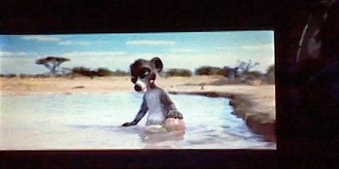 Animals United: Chino vs. Biggie (clip)