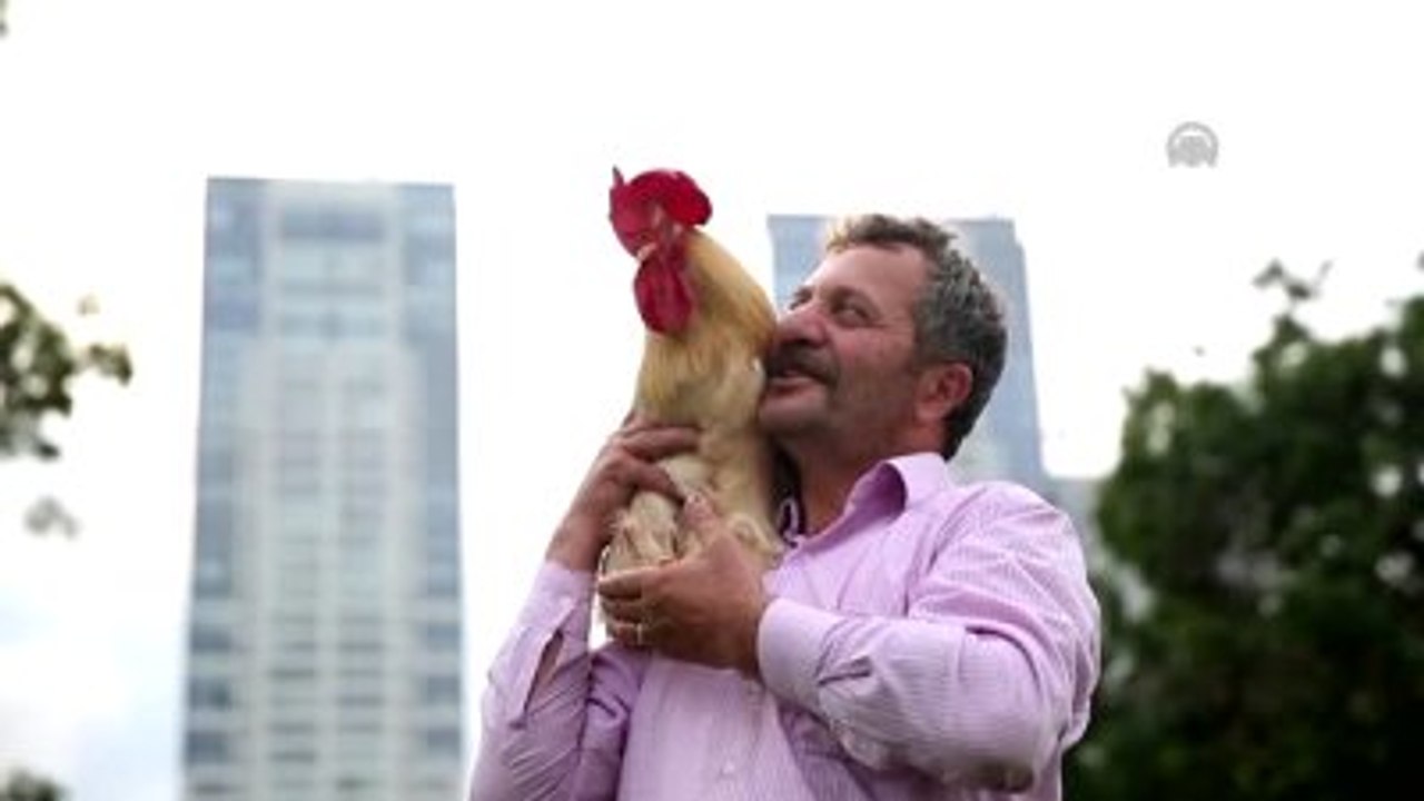 Multimedya Web Belgeseli) - "Bu Behlül Başka Behlül"