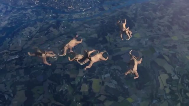 Truly Amazing Stunts,Just wait until you see the Giraffe lol