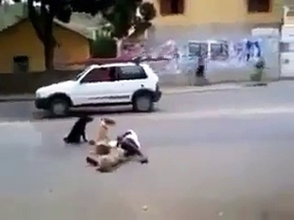 niceee video