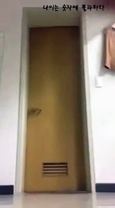 Il fait le poirier devant la porte des toilettes, ce qui arrive après est à mourir de rire !