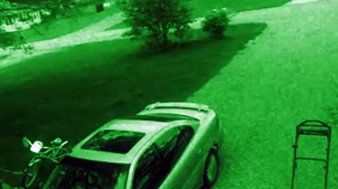 Shocking VIEW_x264