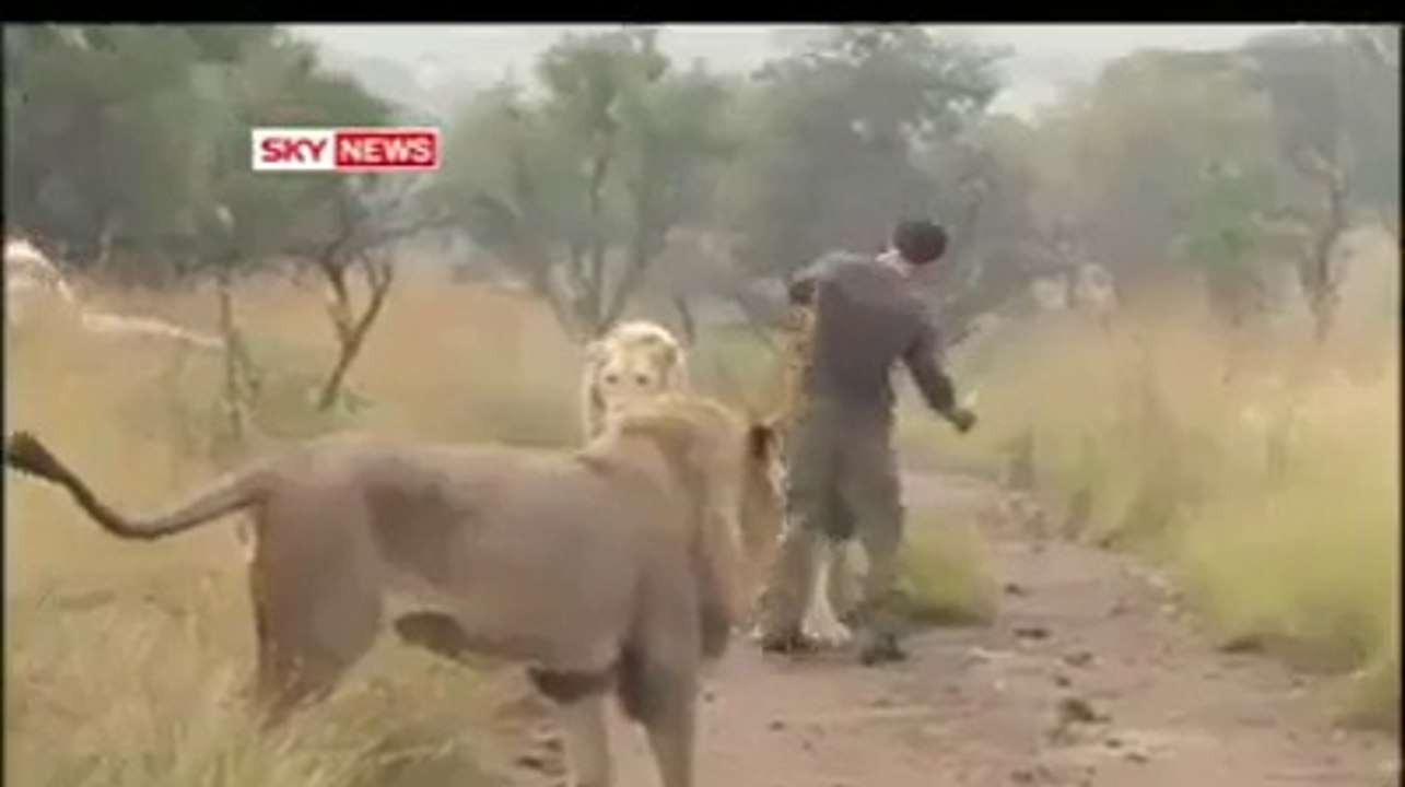 Amazing & Unbelievable Video. You wouldn't have seen such a brave Person