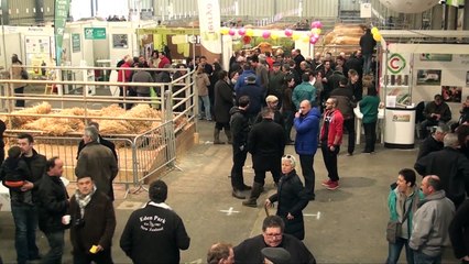 Interview de Jackye SERYES, Présidente des boeufs de Pâques