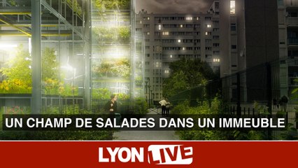 Fermes urbaines. Comment produire des salades en plein centre-ville ?