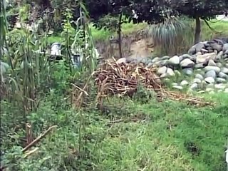 DELINCUENTES ABATIDOS POR LA POLICIA AL HUIR