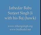 Jathedar Nihang Singh Akali Baba Surjeet Singh with his Hawk