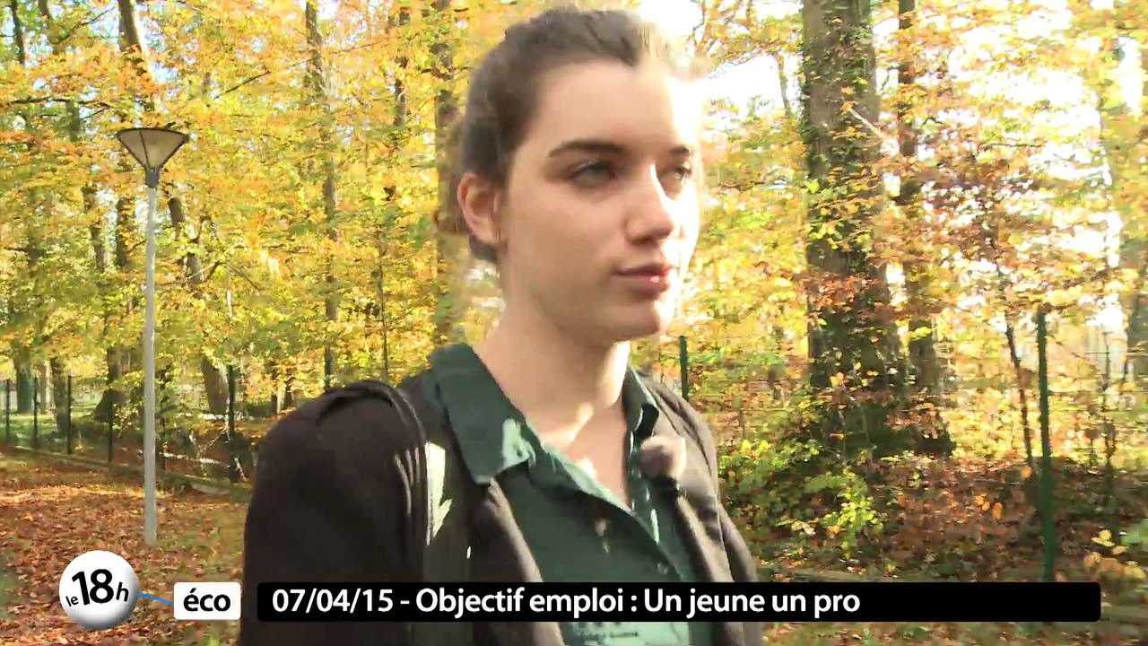 18h Eco : Mecam 44/Saferail