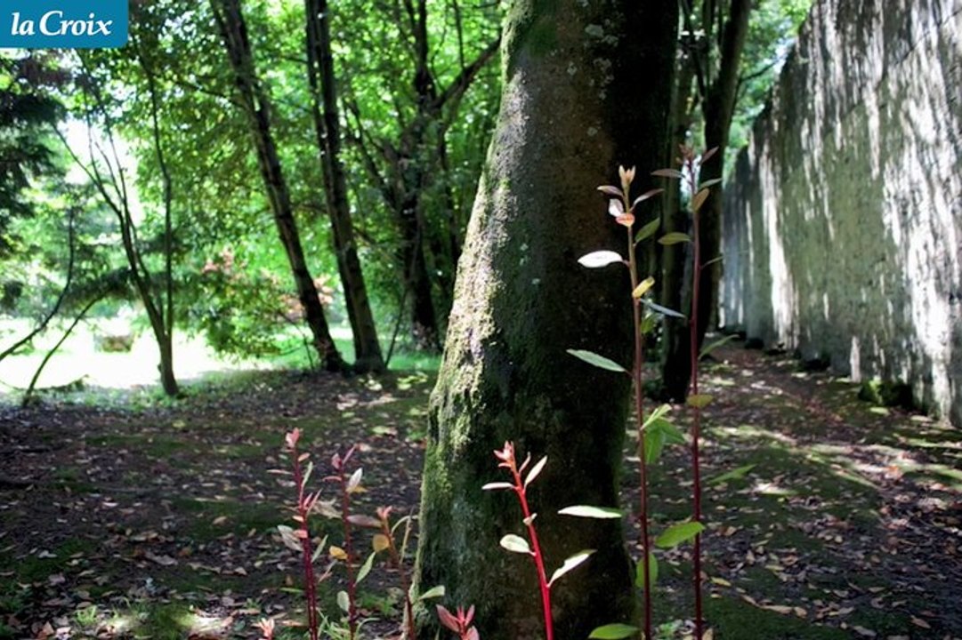 L’accueil joyeux des carmélites de Bayonne