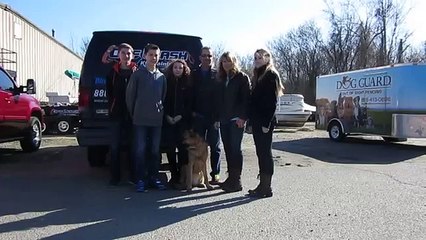 Washington dc dog trainers