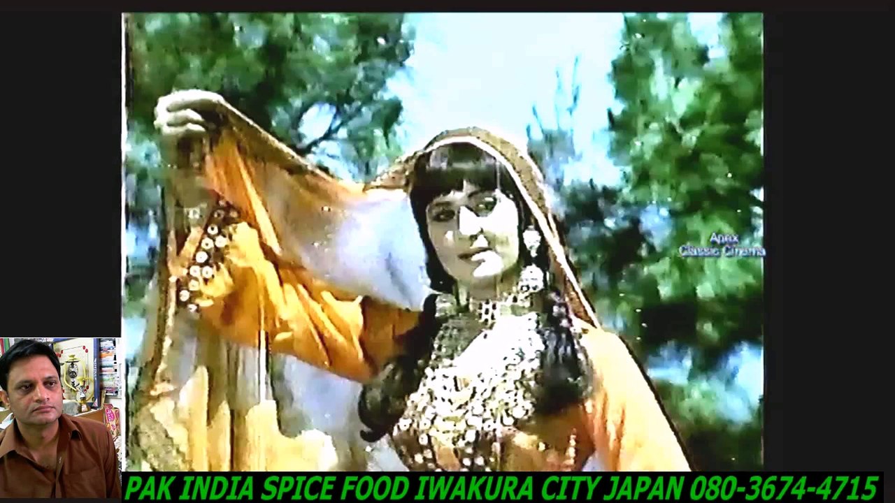 PUNJABI - Begunah - Terey Pichey Heerea - Aasiya_ Aurangzeb_ Mehdi Hassan -HD スパイスハラルフード　岩倉市ジャパンJAPAN HALAL FOOD SPICE