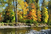 Precious Water: Oregon Rivers and Streams