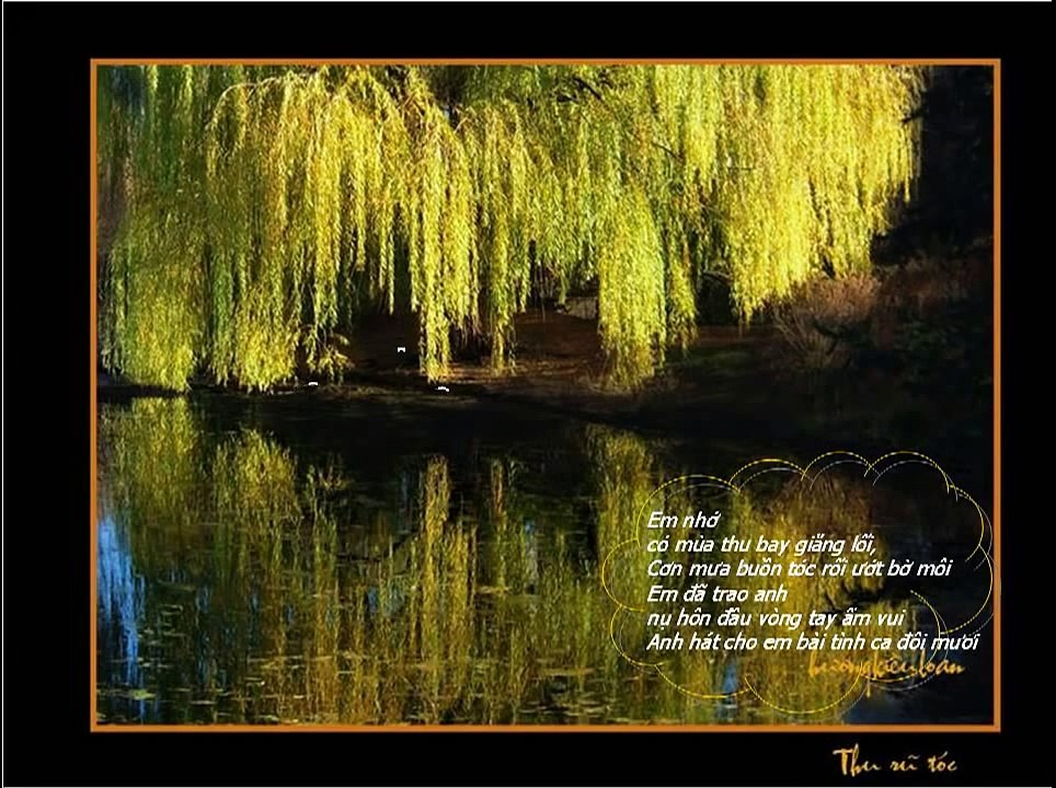 Nỗi Đau Muộn Màng -Ngô Thụy Miên -Tuấn Ngọc - Ảnh chụp HKL