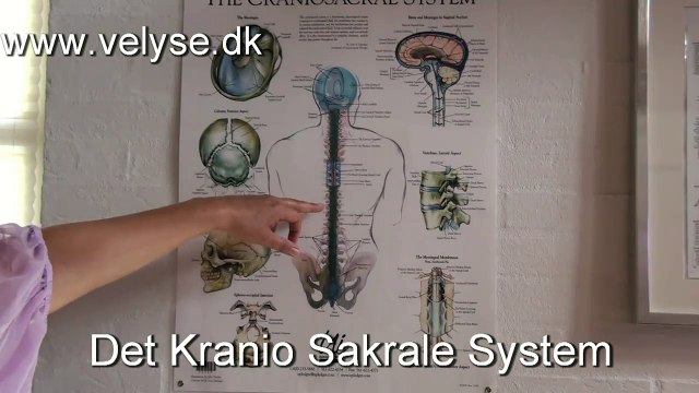 Kraniosakral terapi, KST, Craniosacral CST, Odense, Fyn