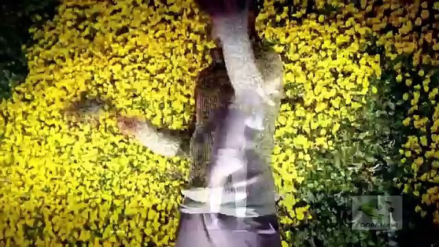 افضل مهارات في عالم كرة القدم قد تشاهدها في حياتك [HD]