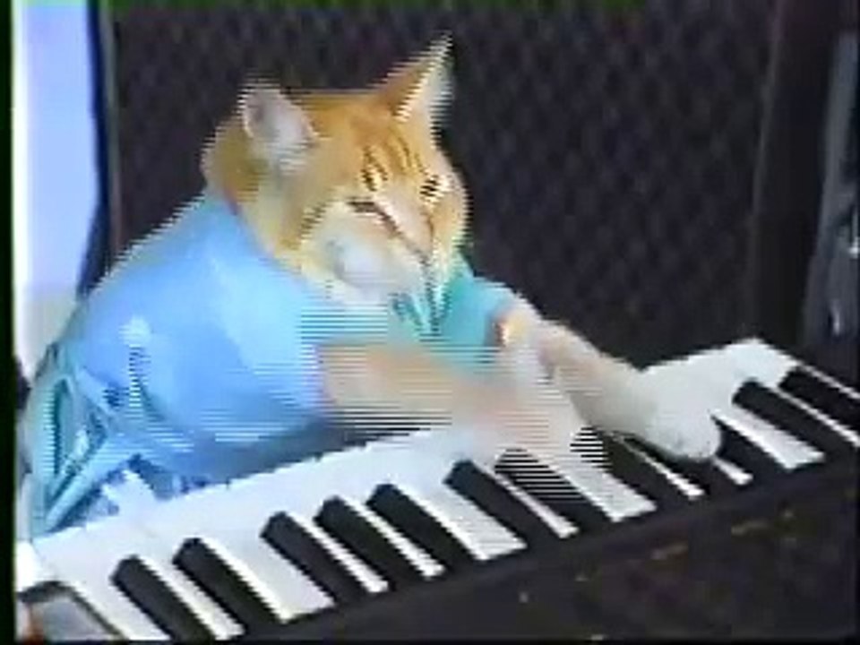 Charlie Schmidt s Keyboard Cat! - THE ORIGINAL!