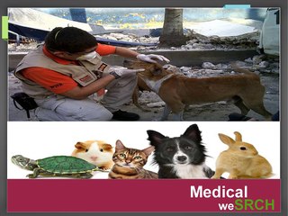 Learn about Veterinary Medicine