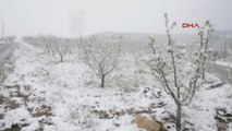 Turgutlu Nisan'da Turgutlu'da Kar Yağışı