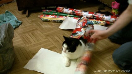 How To Wrap A Cat For Christmas