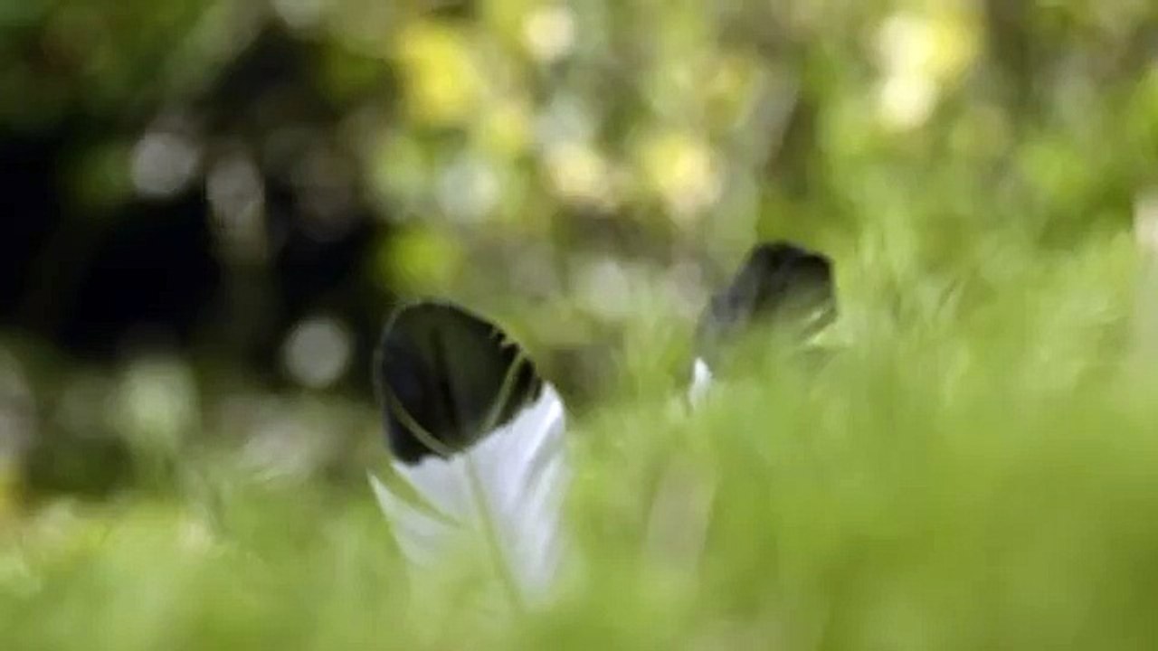 La Chose pour Jardiland - «Cultivez votre bien-être» - avril 2015 - transformez un animal de compagnie en compagnon