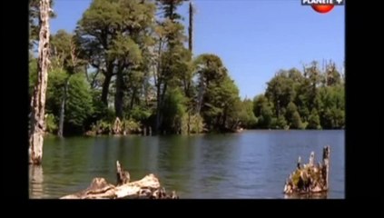 Le monde perdu des dinosaures chez Passeur de Rêves