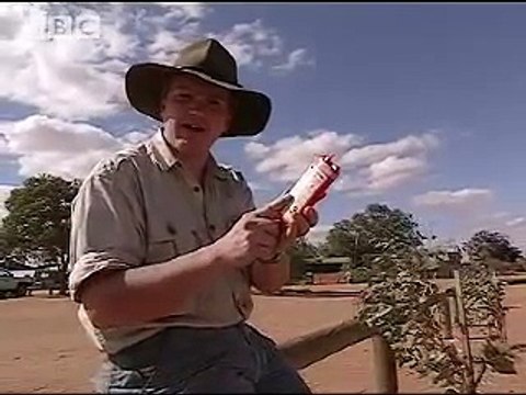 First Aid Kit Rescue - Ray Mears Extreme Survival - BBC