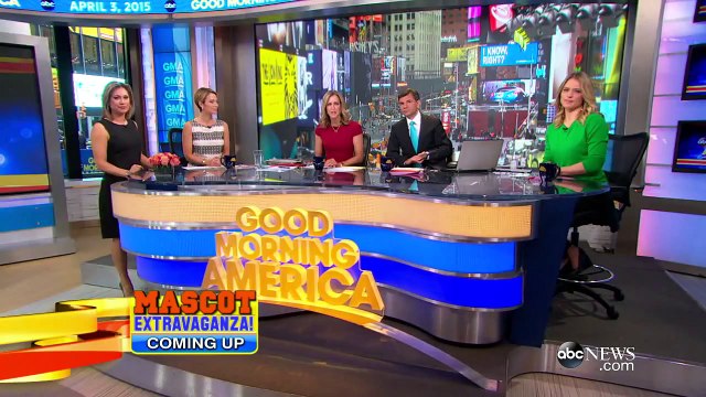 Some Pet Owners Game the Emotional Support Animal System to Fly Pets for Free