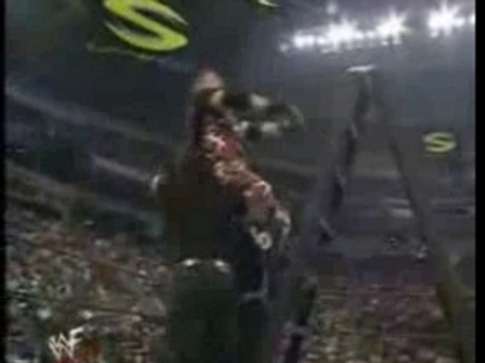 Hardy Boyz(Matt & Jeff)