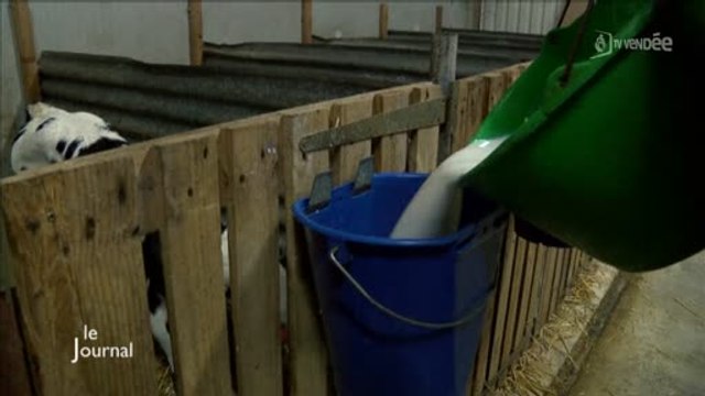 Fin des quotas laitiers : L'avenir des industriels (Vendée)