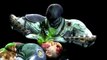 Mortal Kombat 9 - Fatalities 2 (Ermac, Reptile, Kitana, Johnny Cage, Jade)