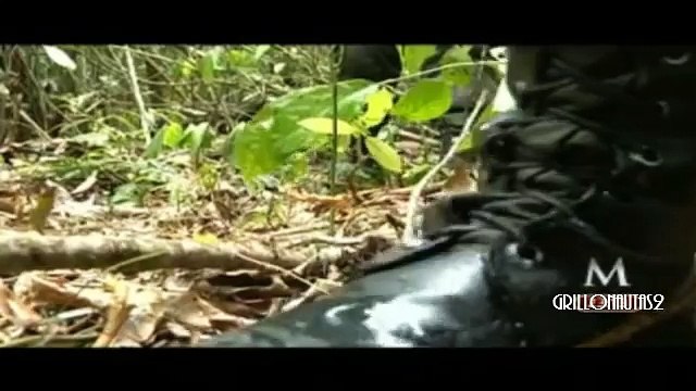 Kaibiles contra Zetas y Cártel de Sinaloa en Guatemala