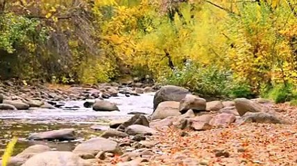 Unbelievable - How is it Possible_  Awesome Talent