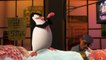 Los Pingüinos de Madagascar - "Conociendo a los Pingüinos" en Español (HD) |