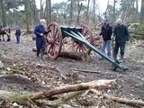 Belgian Draft Horse Logging Pulling Trees