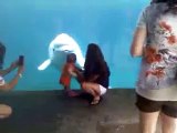 Whale Tries To Eat A Baby