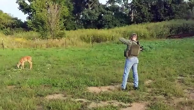 Wowww!!! Fearless Deer Licks the Barrel of a Gun