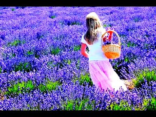 Mary Hopkin - For All My Days