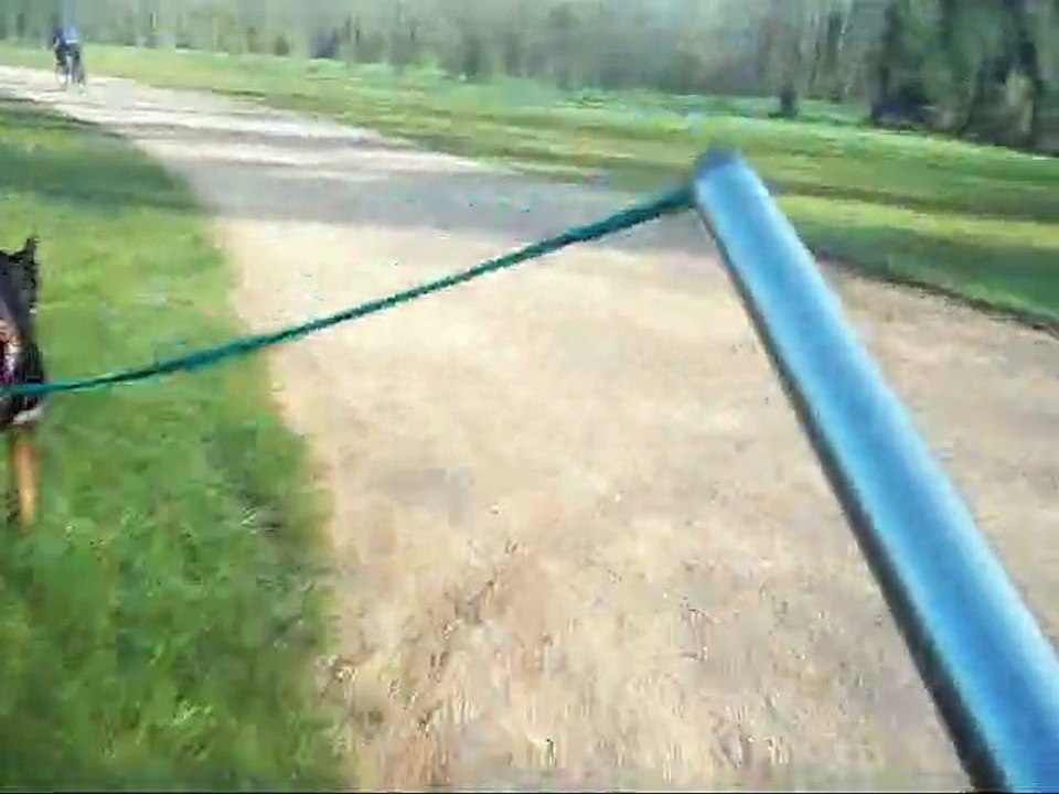 nala cani vtt