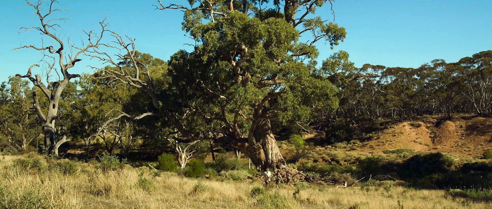 LA PROMESSE D’UNE VIE / Extrait 4 "Tempête de Sable" VOST [Au cinéma le 15 avril]