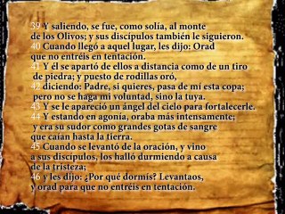 Sembrando Esperanza - El huerto de Getsemani - Miguel Perdomo - 29.03.2015