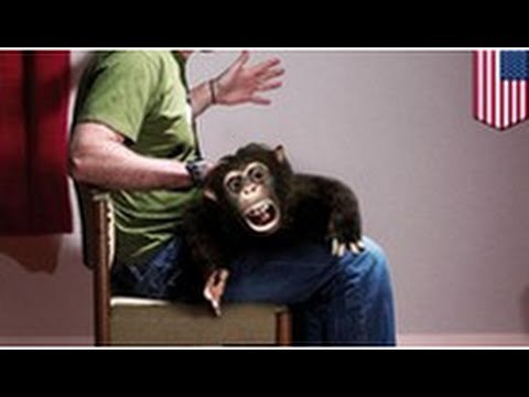 Un homme cambriole une maison, vole un chien et se prend deux balles.