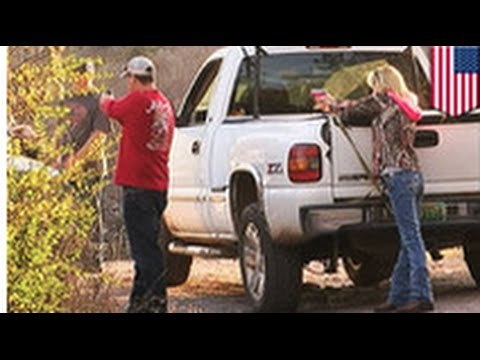 Une famille joue aux justiciers afin de récupérer leurs objets volés