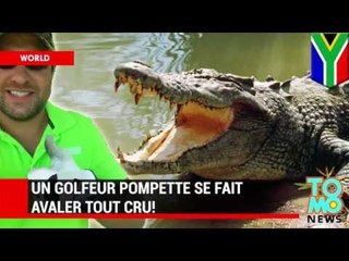 ATTAQUE DE CROCO: Un golfeur pompette se fait avaler tout cru